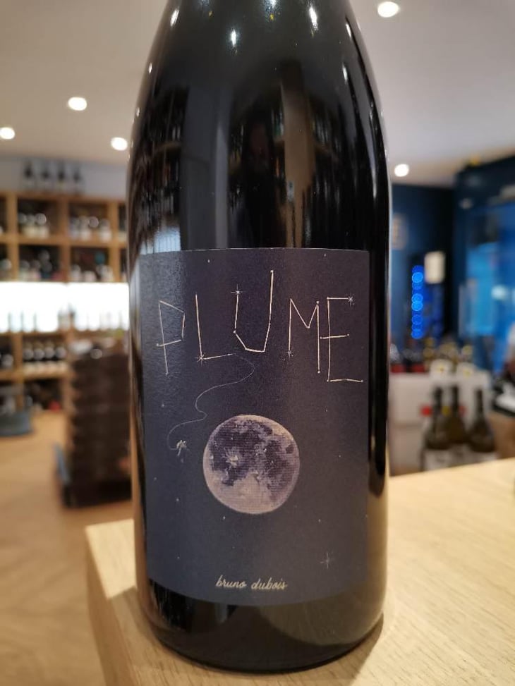Plume - Bruno Dubois - Bruno Dubois 