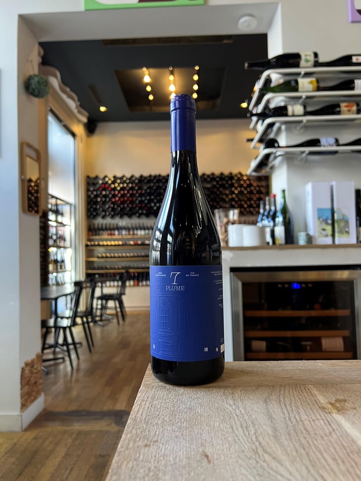 PLUME - Domaine 7 - Abel Benmaamar -2021