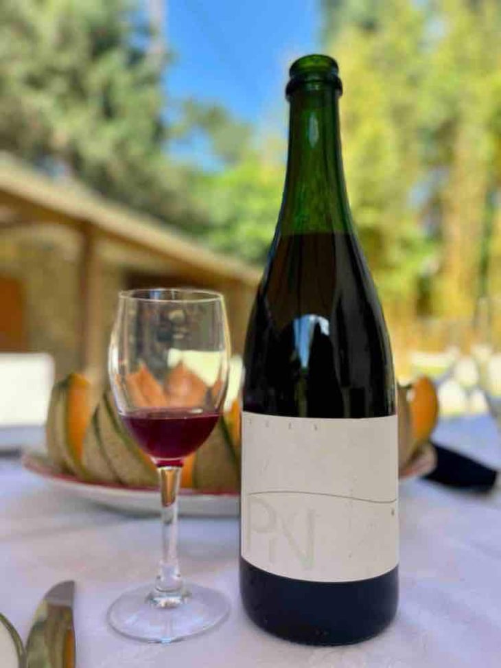 PN - Domaine de la Colline - Bruno & Sylvain LEBRUN -2023