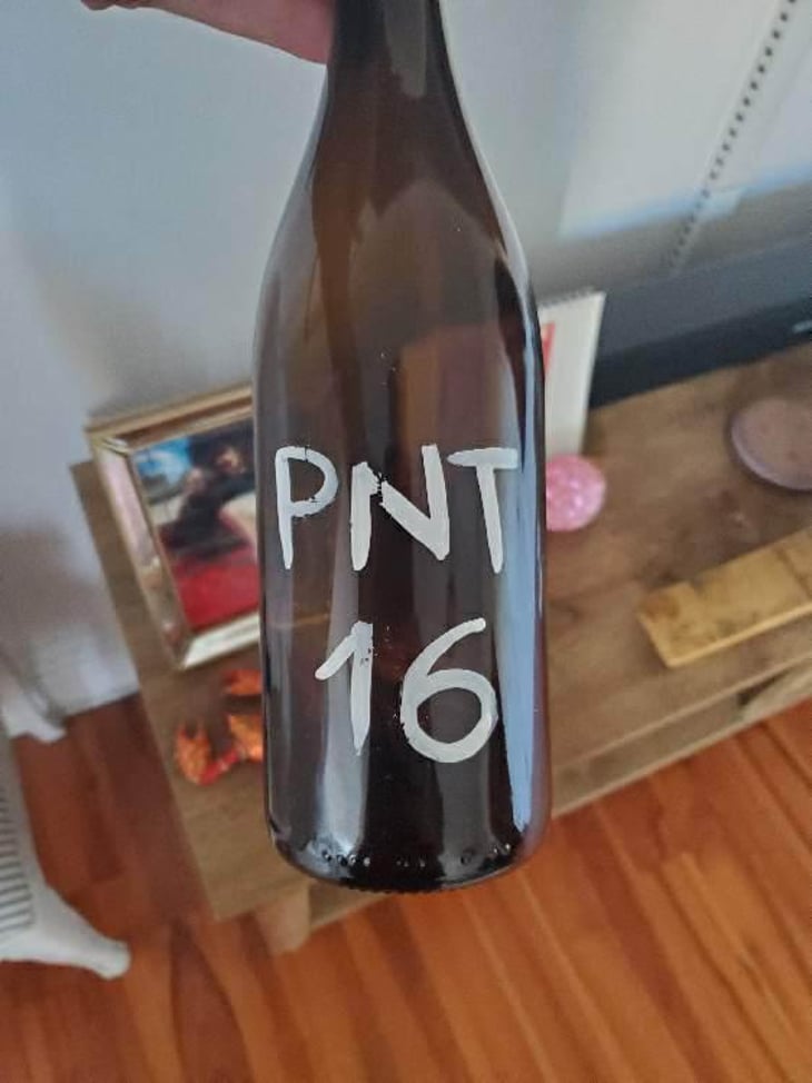 PNT - Le Coste - Clémentine Bouveron & Gianmarco Antonuzi 