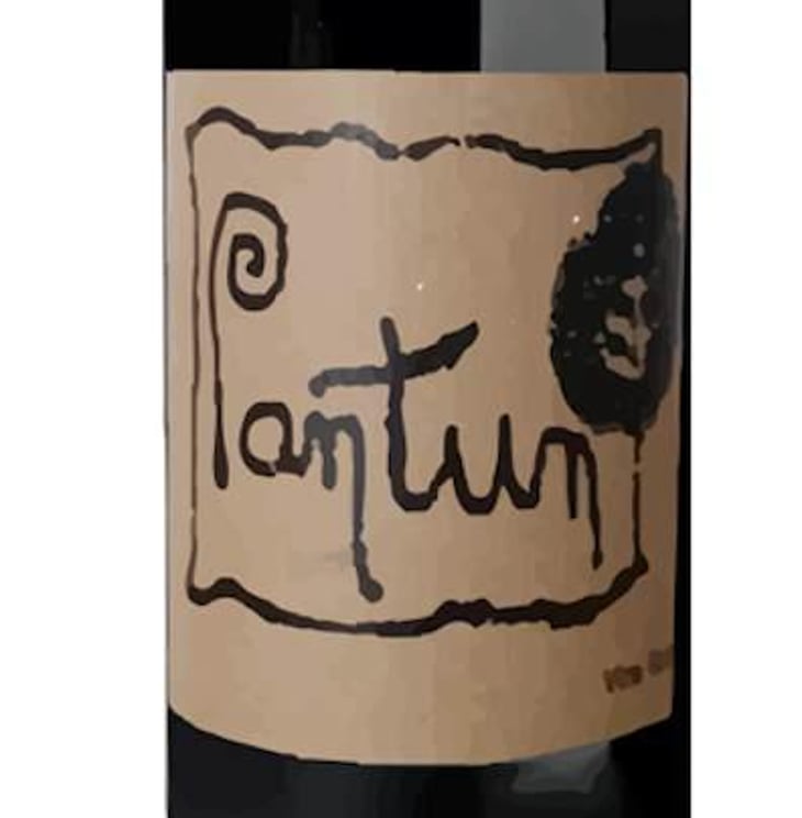 Pantun Rosso - Cantina Pantun - Domenico Caragnano 