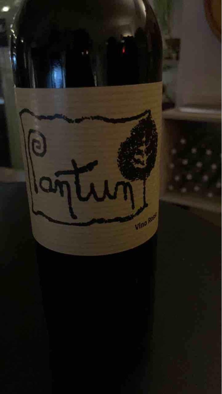 Pantun Rosso - Cantina Pantun - Domenico Caragnano 