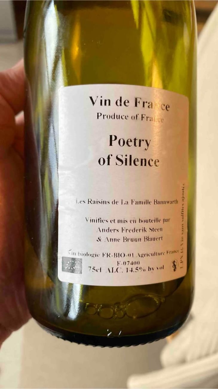 Poetry of Silence (X Laurent Bannwarth) - Anders Frederik Steen & Anne Bruun Blauert - Anders Frederik Steen & Anne Bruun Blauert 