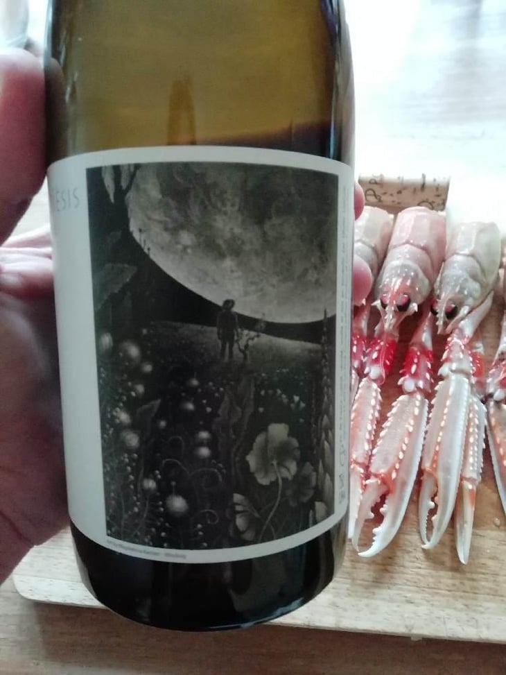 Poïèsis - Clos des Plantes - Olivier Lejeune 