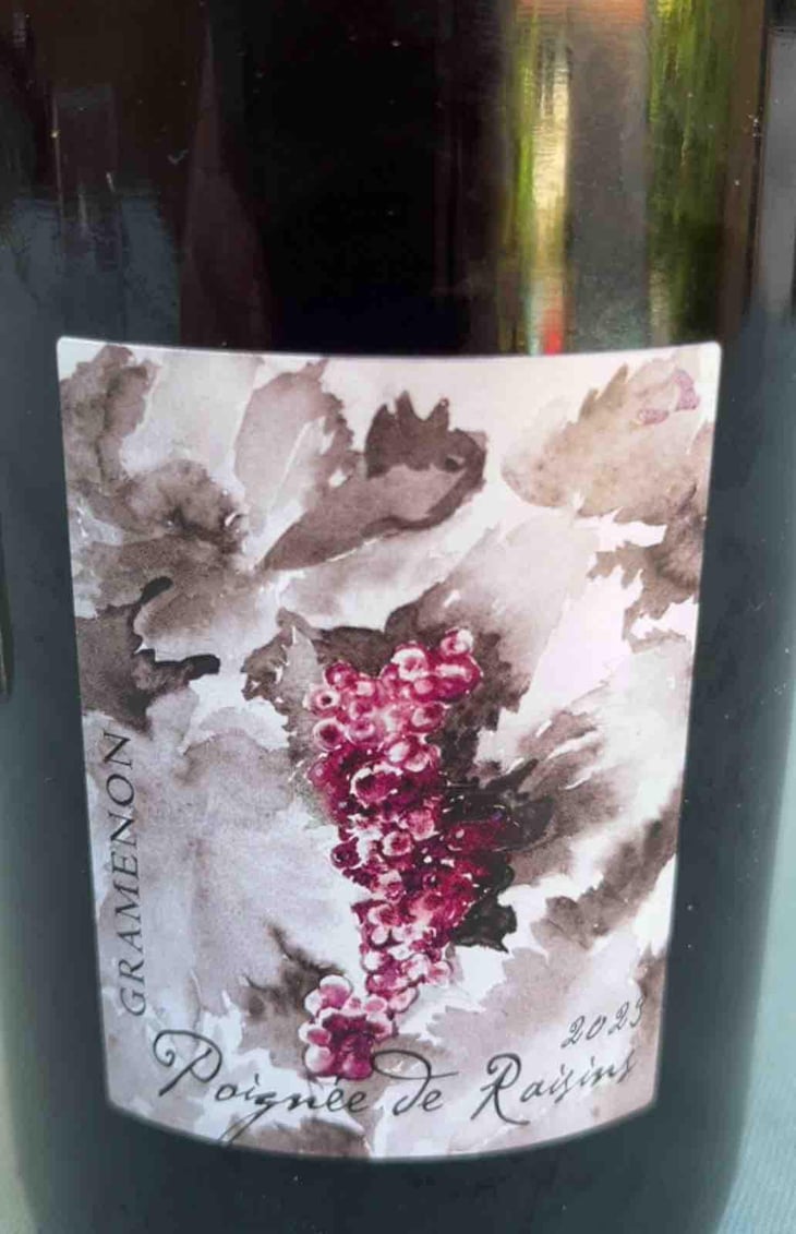 Poignée de Raisin - Domaine Gramenon - Michèle Aubéry-Laurent & Maxime-Francois Laurent 