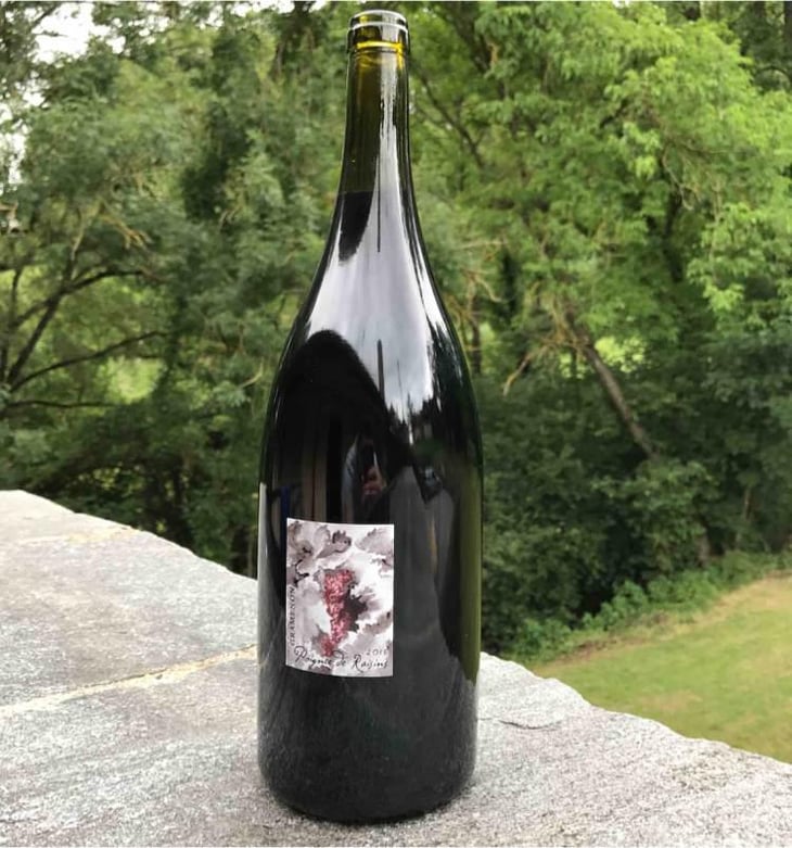 Poignée de Raisin - Domaine Gramenon - Michèle Aubéry-Laurent & Maxime-Francois Laurent 