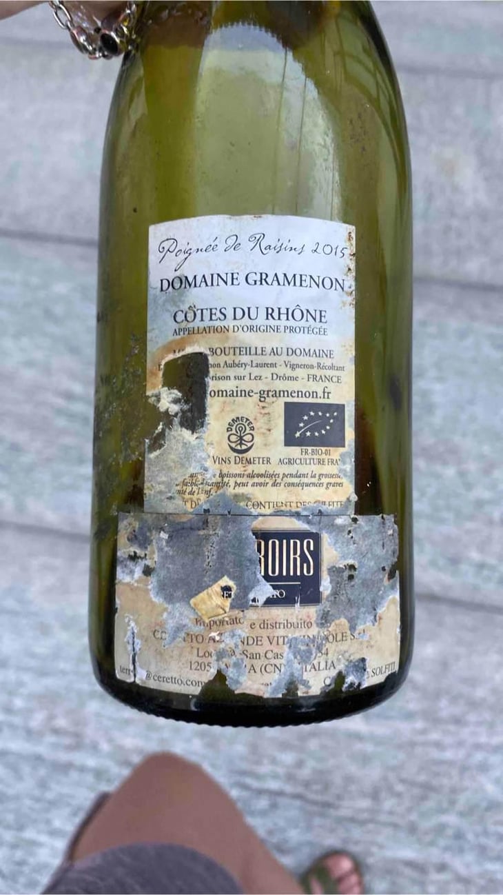 Poignée de Raisin - Domaine Gramenon - Michèle Aubéry-Laurent & Maxime-Francois Laurent 