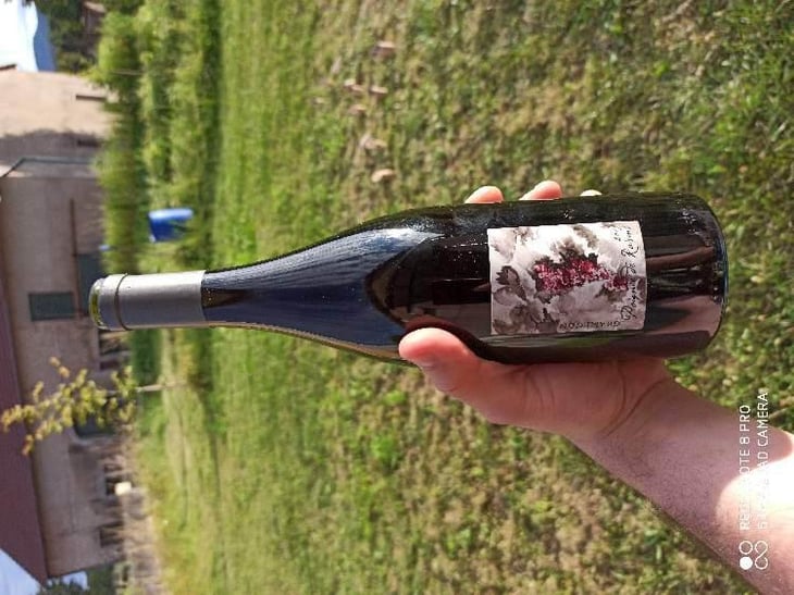 Poignée de Raisin - Domaine Gramenon - Michèle Aubéry-Laurent & Maxime-Francois Laurent 