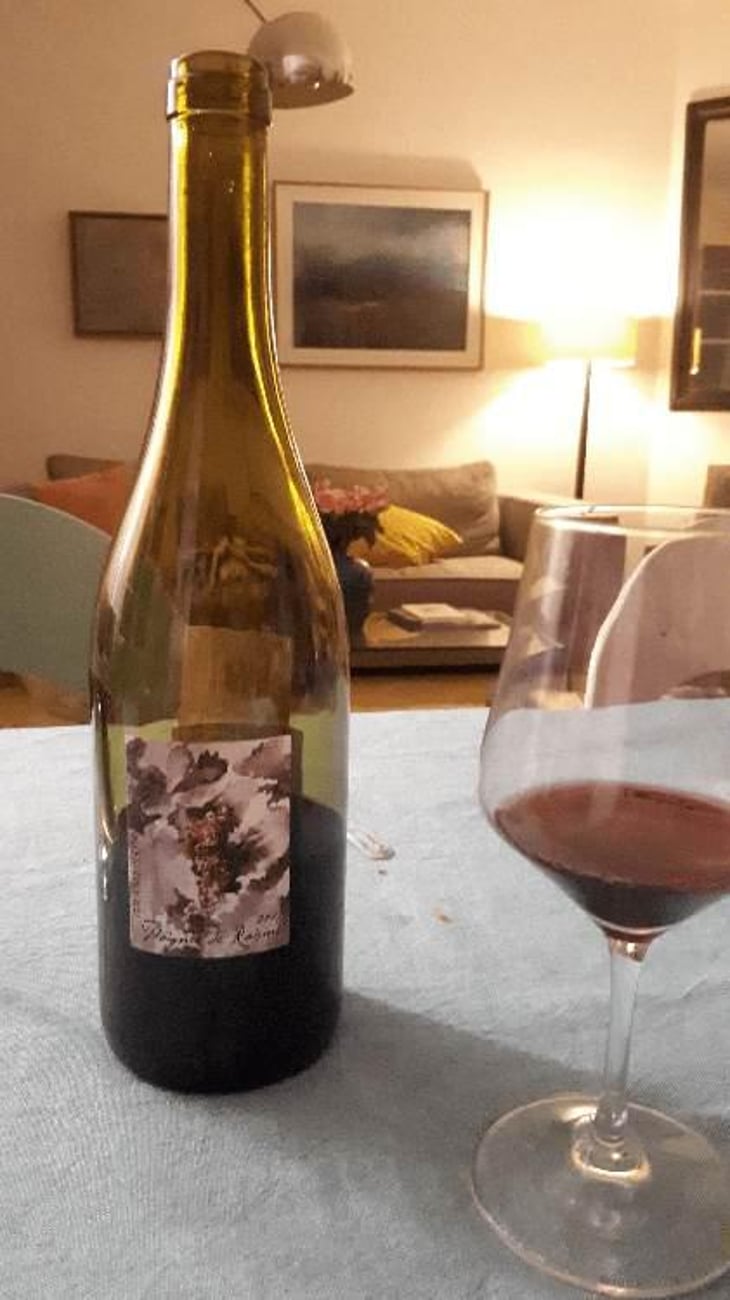 Poignée de Raisin - Domaine Gramenon - Michèle Aubéry-Laurent & Maxime-Francois Laurent 
