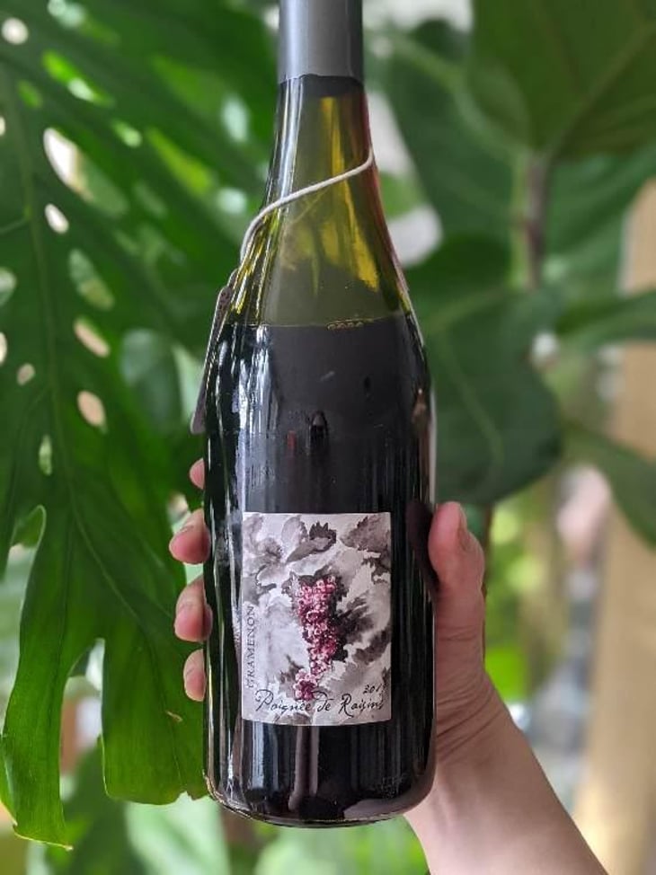 Poignée de Raisin - Domaine Gramenon - Michèle Aubéry-Laurent & Maxime-Francois Laurent 