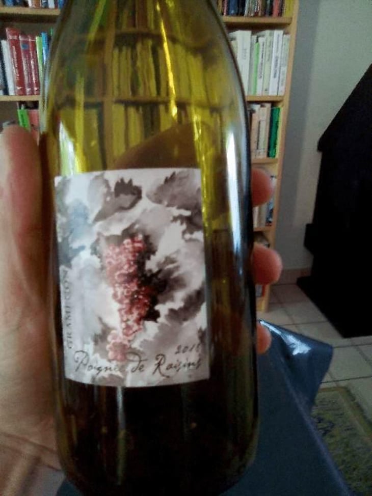 Poignée de Raisin - Domaine Gramenon - Michèle Aubéry-Laurent & Maxime-Francois Laurent 