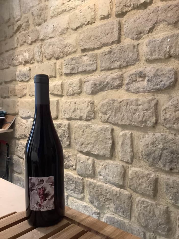 Poignée de Raisin - Domaine Gramenon - Michèle Aubéry-Laurent & Maxime-Francois Laurent 