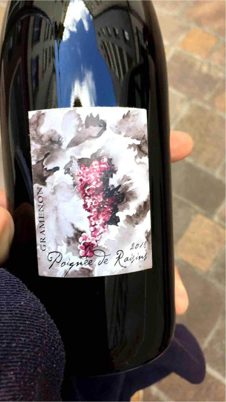 Poignée de Raisin - Domaine Gramenon - Michèle Aubéry-Laurent & Maxime-Francois Laurent 