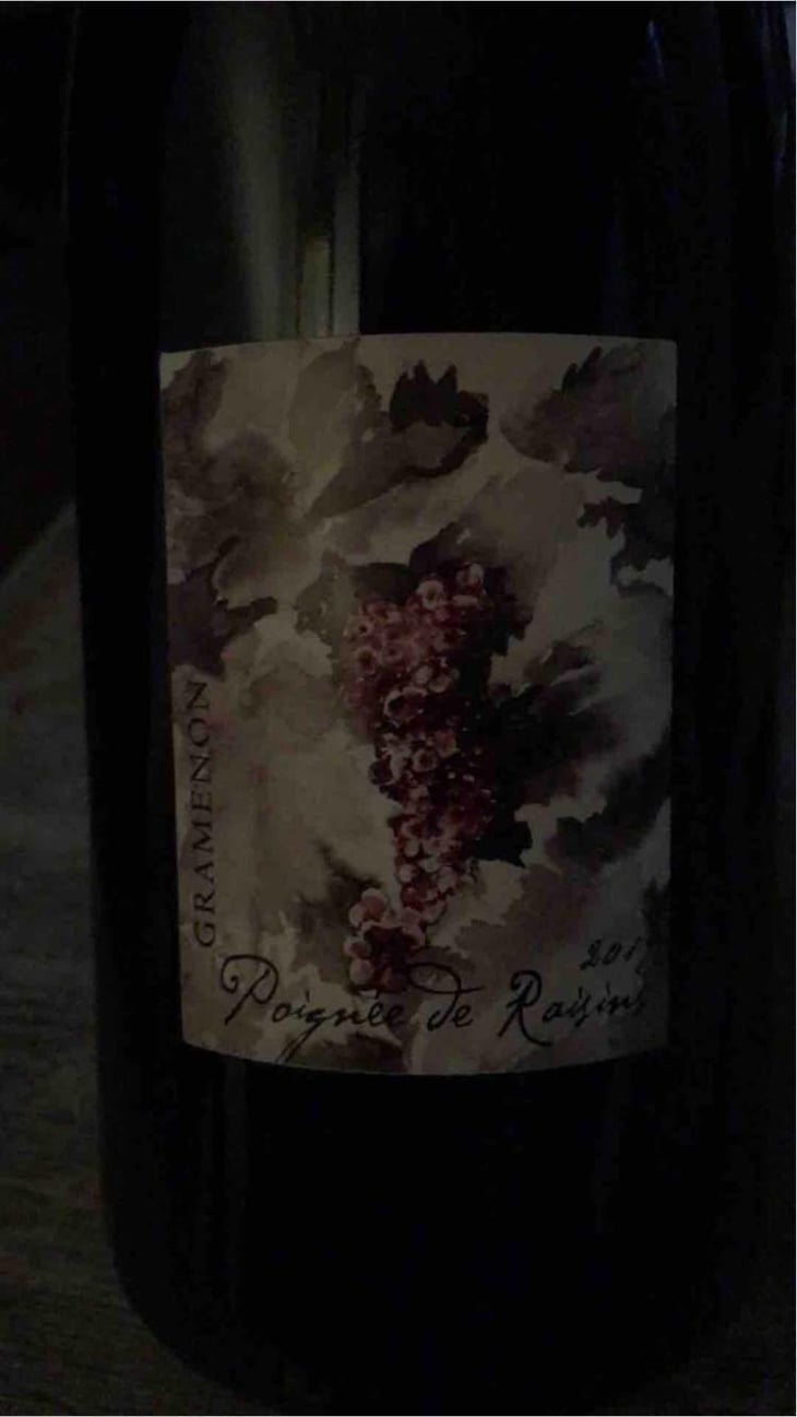 Poignée de Raisin - Domaine Gramenon - Michèle Aubéry-Laurent & Maxime-Francois Laurent 