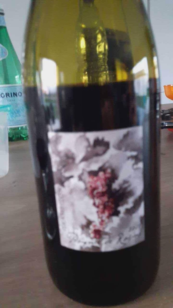 Poignée de Raisin - Domaine Gramenon - Michèle Aubéry-Laurent & Maxime-Francois Laurent 