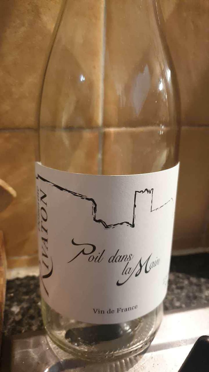 Poil dans la main - Domaine Rivaton - Frédéric Rivaton 
