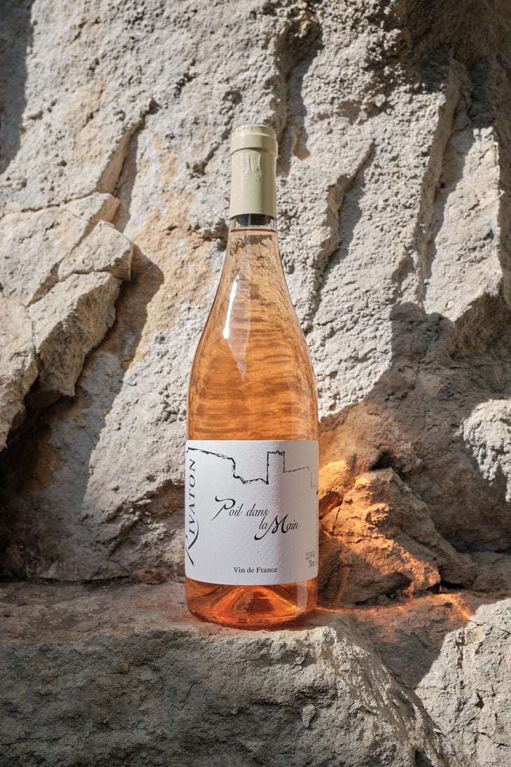 Poil dans la main - Domaine Rivaton - Frédéric Rivaton 