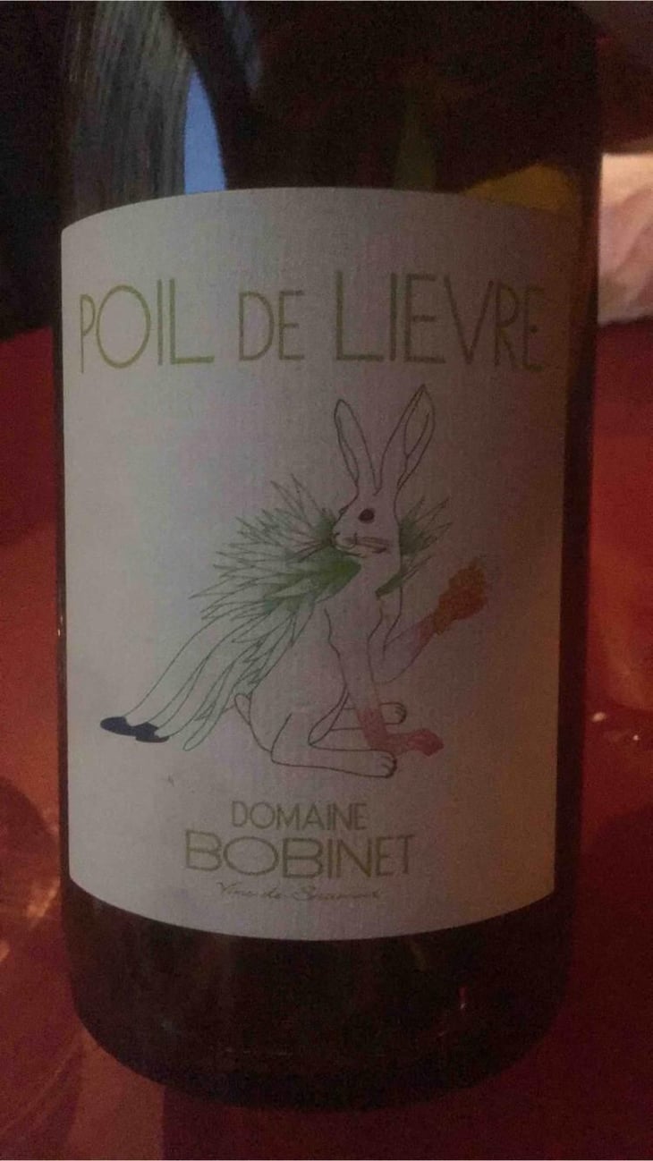 Poil de Lievre - Domaine Calvez-Bobinet - Sébastien Bobinet & Emeline Calvez 