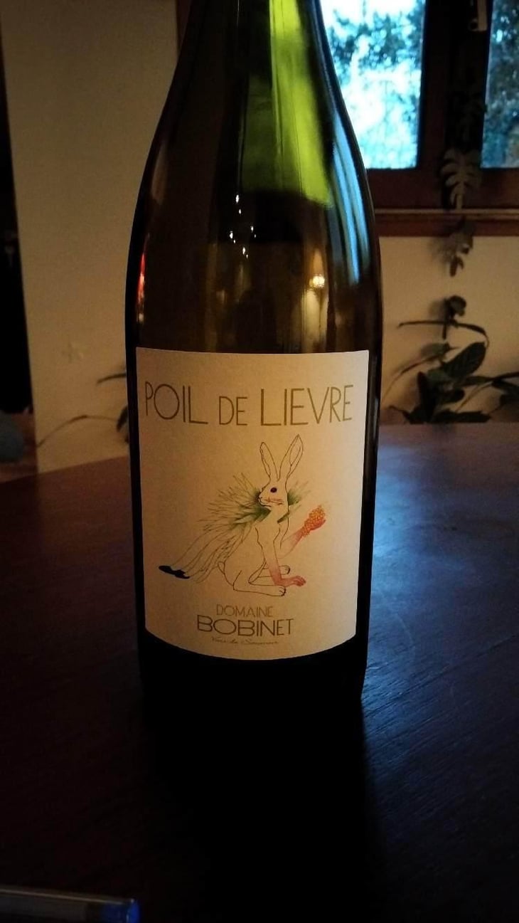 Poil de Lievre - Domaine Calvez-Bobinet - Sébastien Bobinet & Emeline Calvez 