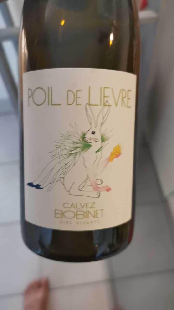 Poil de Lievre - Domaine Calvez-Bobinet - Sébastien Bobinet & Emeline Calvez 