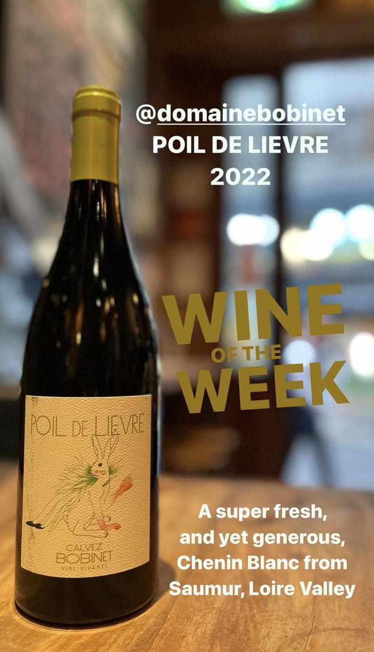 Poil de Lievre - Domaine Calvez-Bobinet - Sébastien Bobinet & Emeline Calvez 