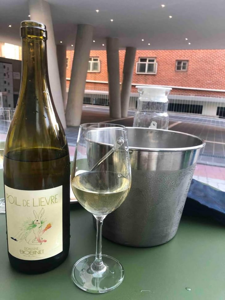 Poil de Lievre - Domaine Calvez-Bobinet - Sébastien Bobinet & Emeline Calvez 