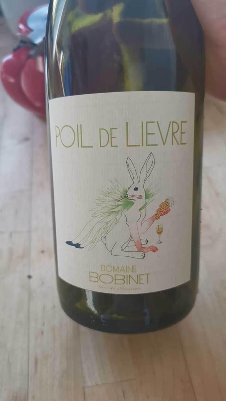 Poil de Lievre - Domaine Calvez-Bobinet - Sébastien Bobinet & Emeline Calvez 