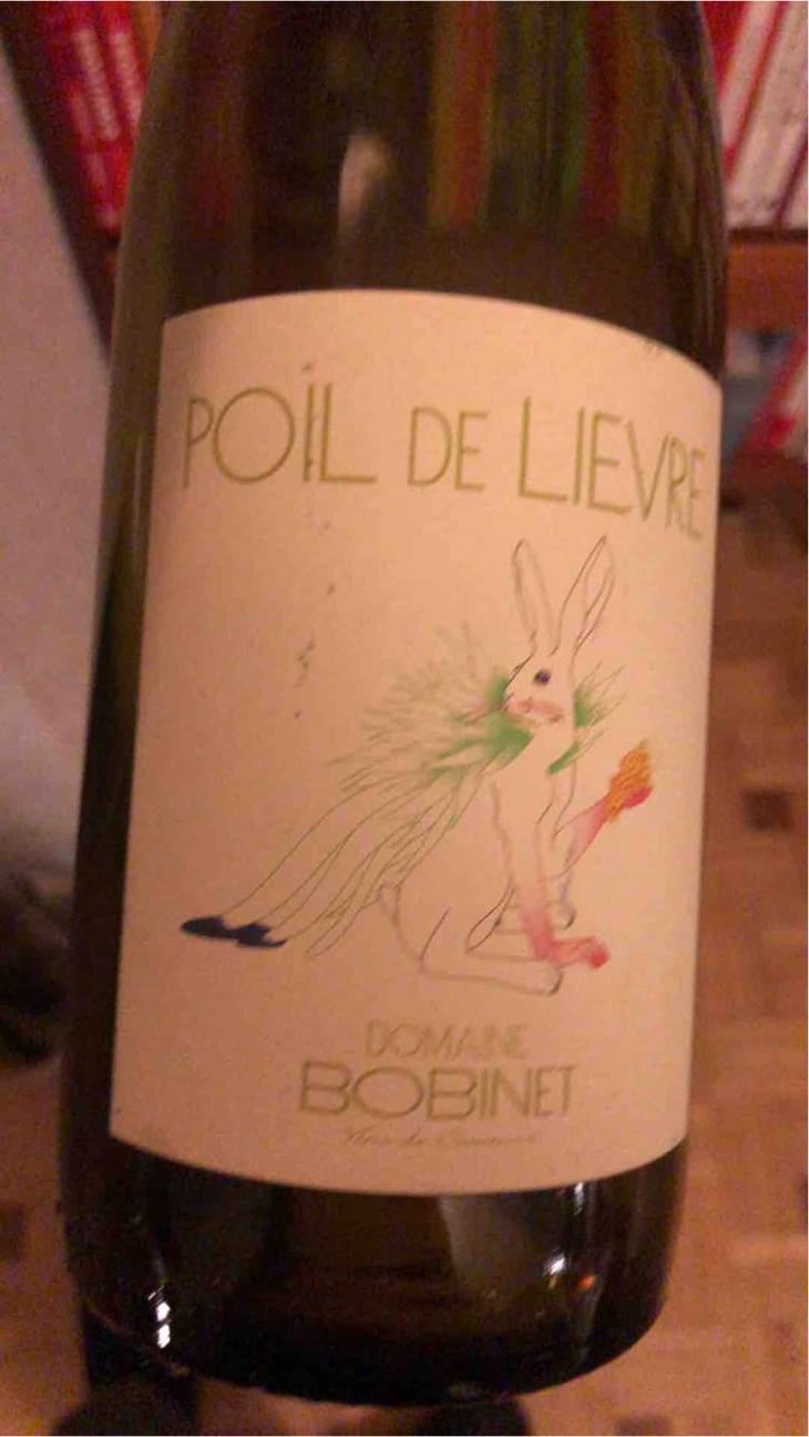 Poil de Lievre - Domaine Calvez-Bobinet - Sébastien Bobinet & Emeline Calvez 