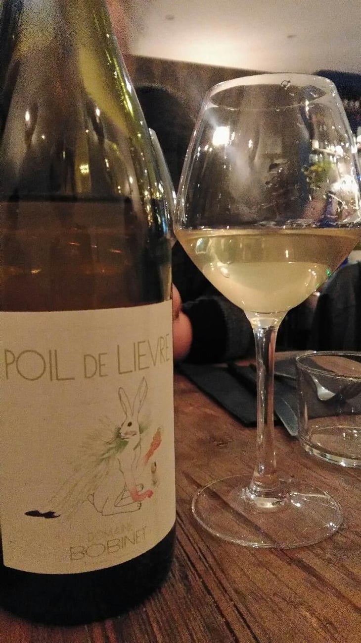 Poil de Lievre - Domaine Calvez-Bobinet - Sébastien Bobinet & Emeline Calvez 
