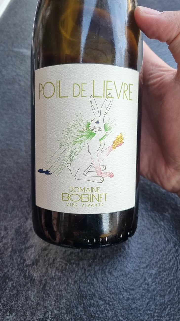 Poil de Lievre - Domaine Calvez-Bobinet - Sébastien Bobinet & Emeline Calvez 