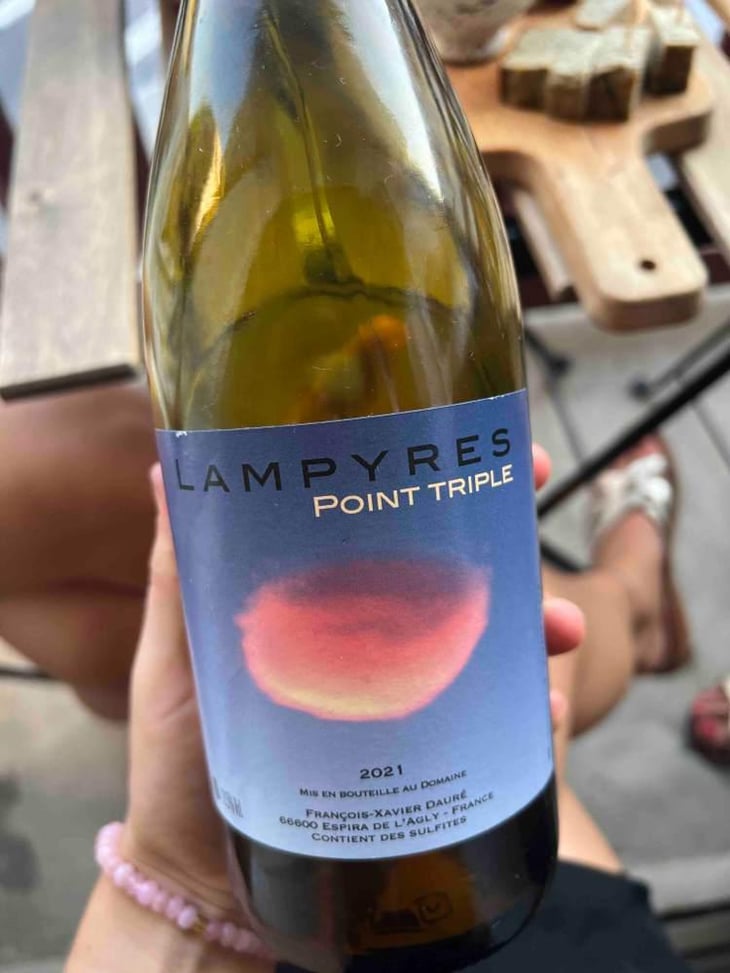 Point Triple - Domaine Lampyres - François-Xavier Dauré -2020
