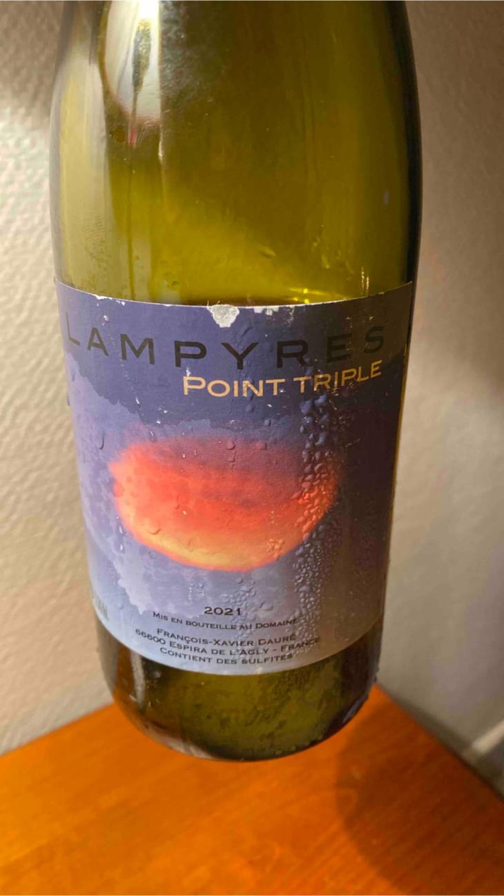 Point Triple - Domaine Lampyres - François-Xavier Dauré -2020