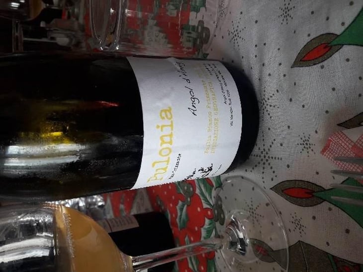 Pulonia - Angol d'Amig - Marco Lanzotti 