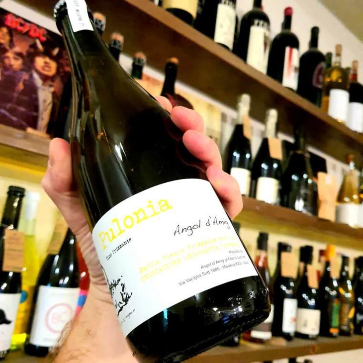 Pulonia - Angol d'Amig - Marco Lanzotti 