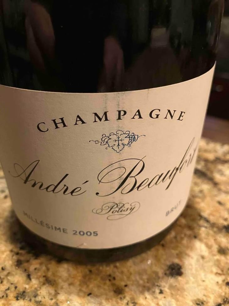Polisy Millesimé Brut - Champagne André & Jacques Beaufort - André & Jacques Beaufort 
