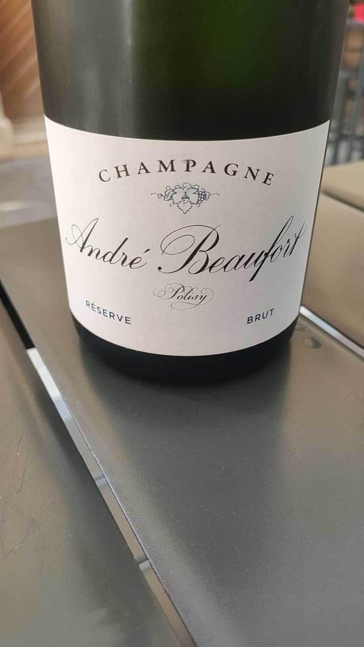 Polisy Millesimé Brut - Champagne André & Jacques Beaufort - André & Jacques Beaufort 