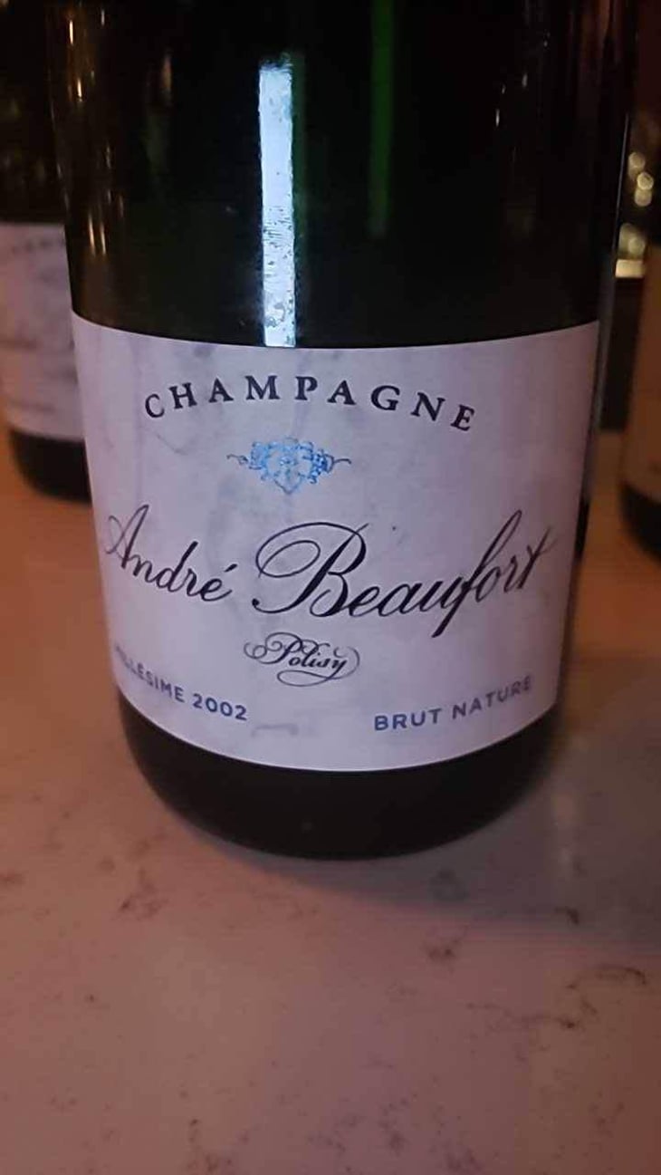 Polisy Millesimé Brut - Champagne André & Jacques Beaufort - André & Jacques Beaufort 