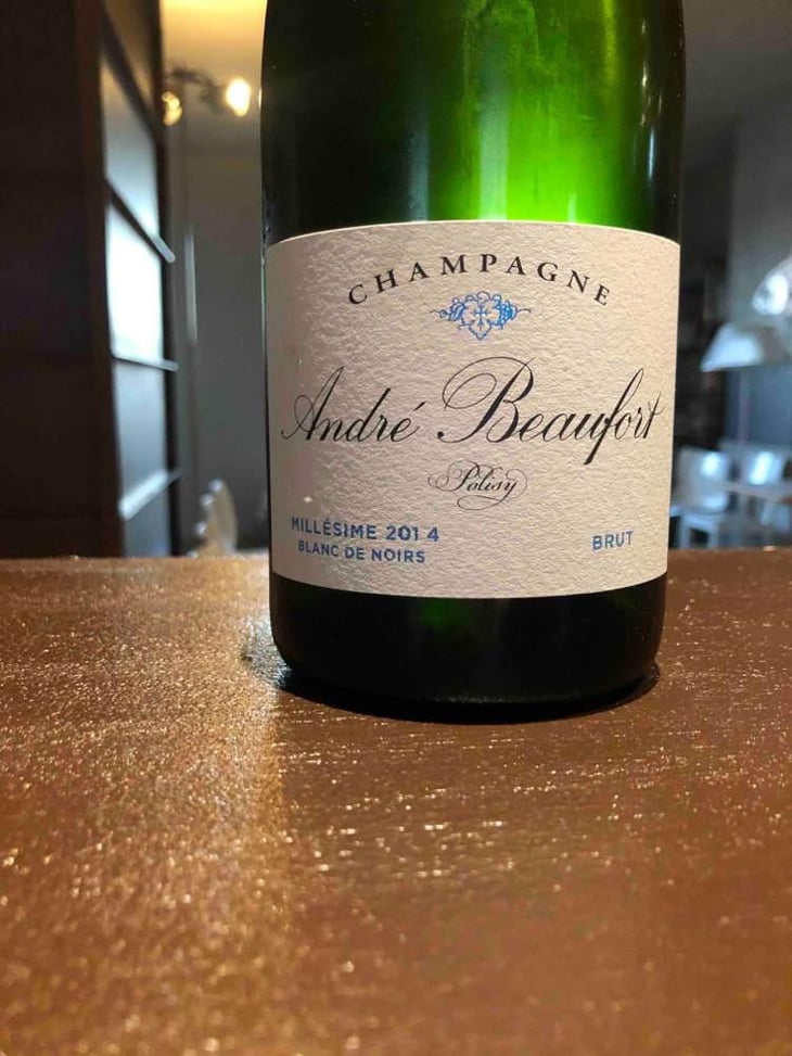 Polisy Millesimé Brut - Champagne André & Jacques Beaufort - André & Jacques Beaufort 