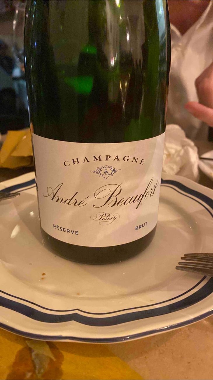 Polisy Millesimé Brut - Champagne André & Jacques Beaufort - André & Jacques Beaufort 