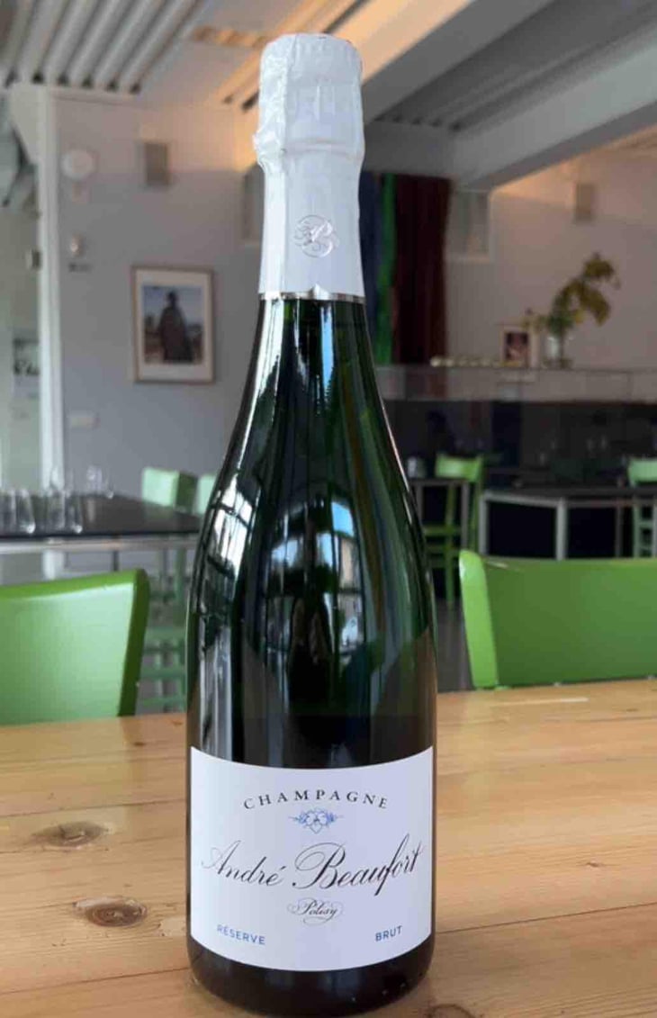 Polisy Millesimé Brut - Champagne André & Jacques Beaufort - André & Jacques Beaufort 
