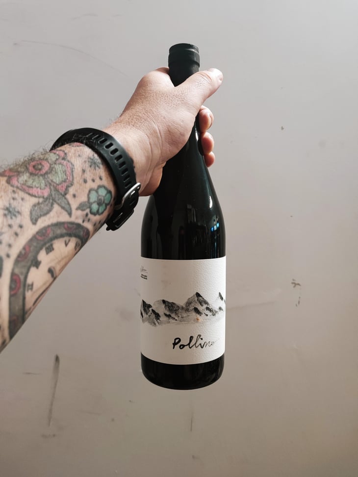 Pollino - Giuseppe Calabrese - Giuseppe Calabrese -2015