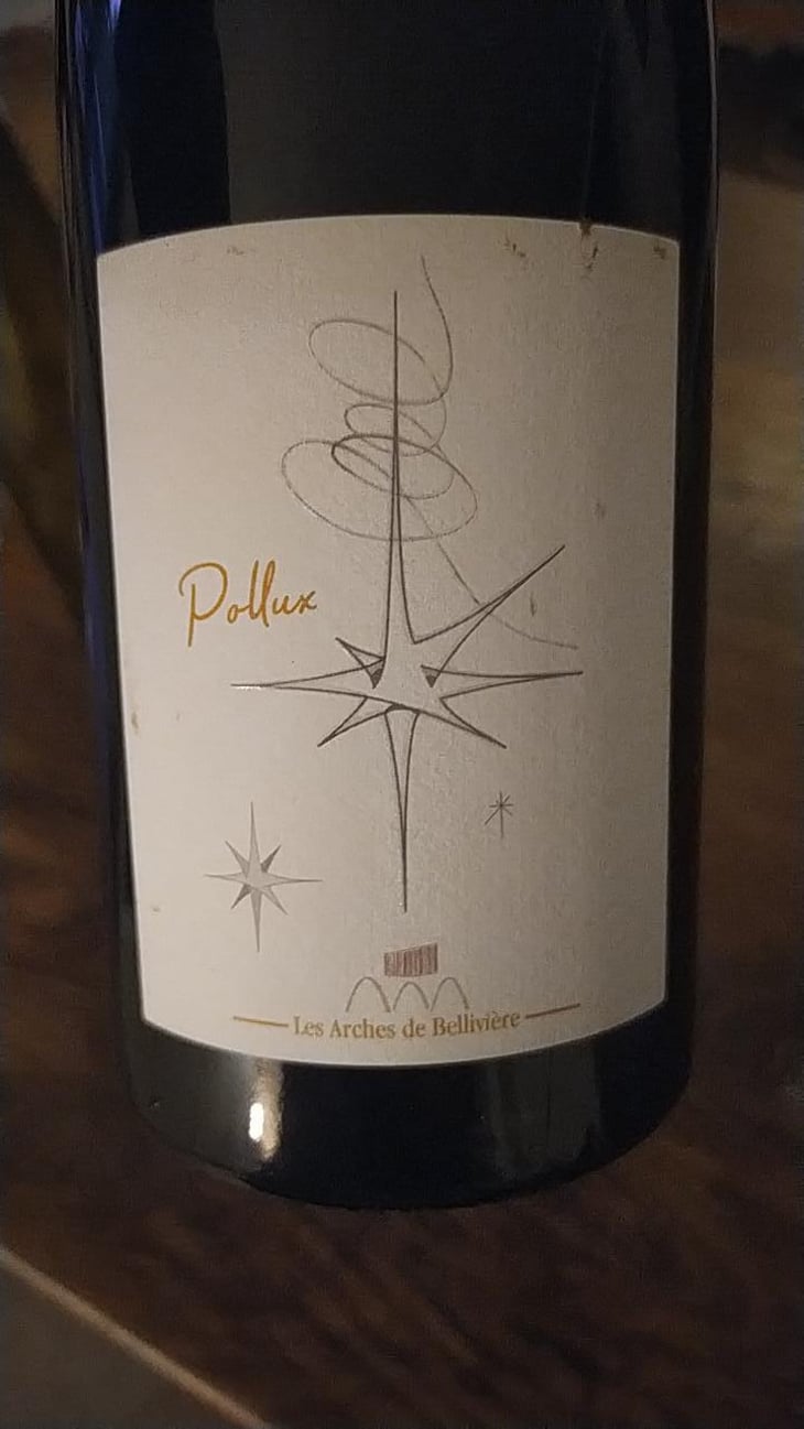 Pollux - Domaine de Bellivière - Clement et Laure Anne Nicolas 
