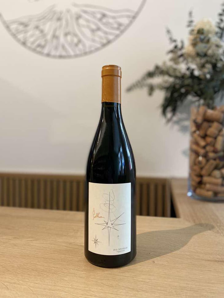 Pollux - Domaine de Bellivière - Clement et Laure Anne Nicolas 