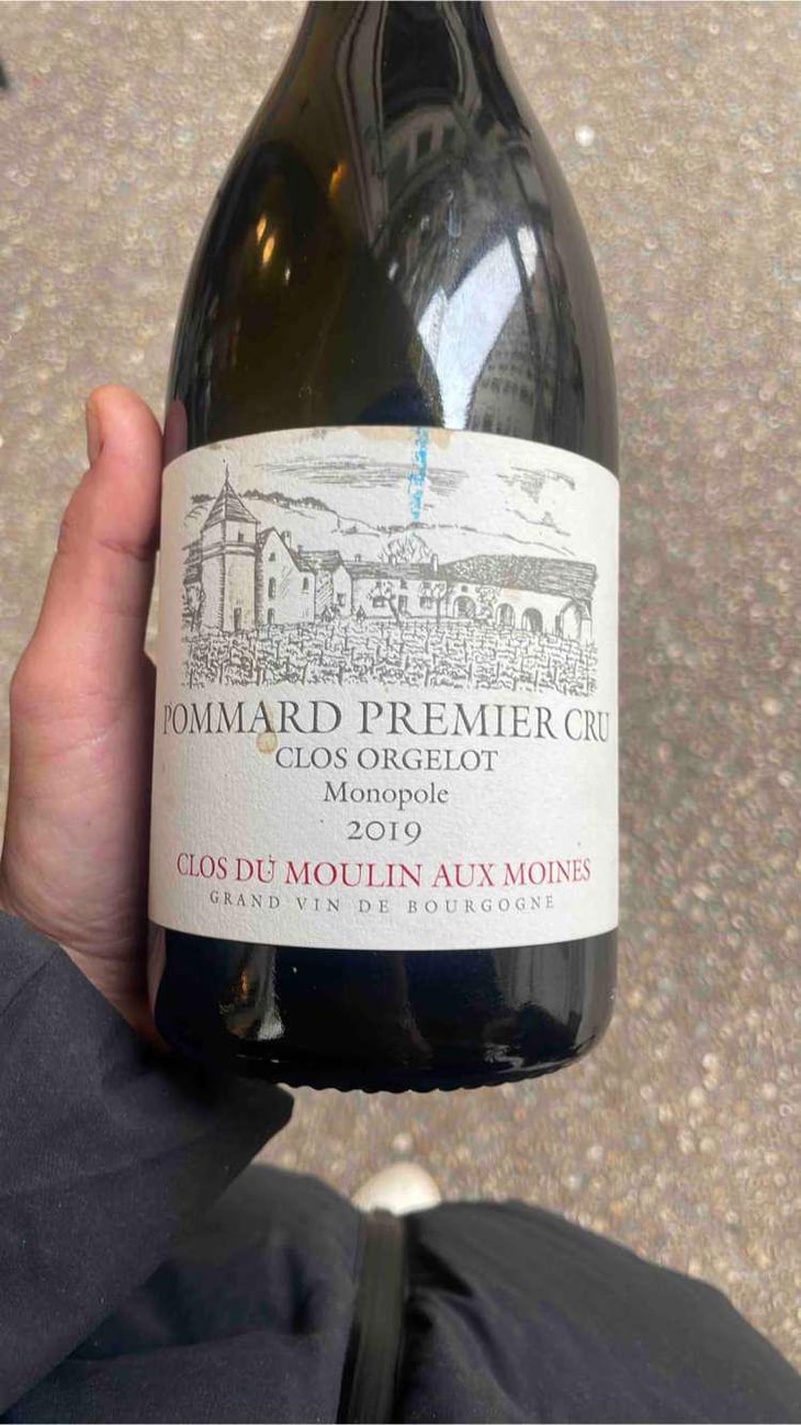 Pommard 1er Cru Clos Orgelot - Clos Du Moulin Aux Moines - Willy Roulendes & Famille Andrieu -2019