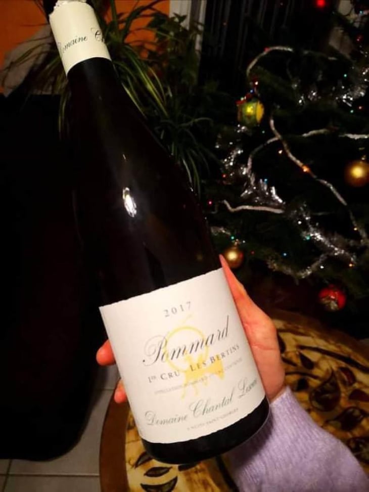 Pommard 1er Cru Les Bertins - Chantal Lescure - François Chavériat -2017