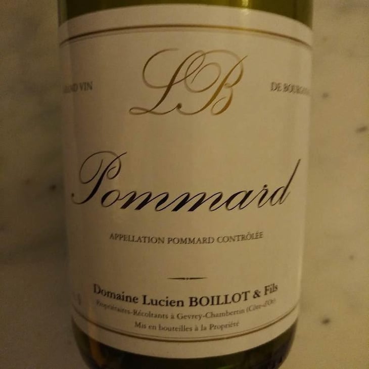 Pommard - Domaine Lucien Boillot & Fils - Pierre Boillot -2017