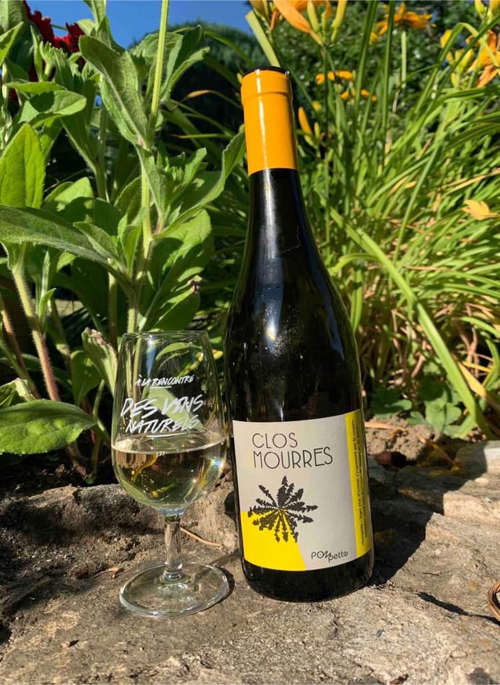 Pompette Blanc - Clos des Mourres - Ingrid & Jean-Philippe Bouchet 
