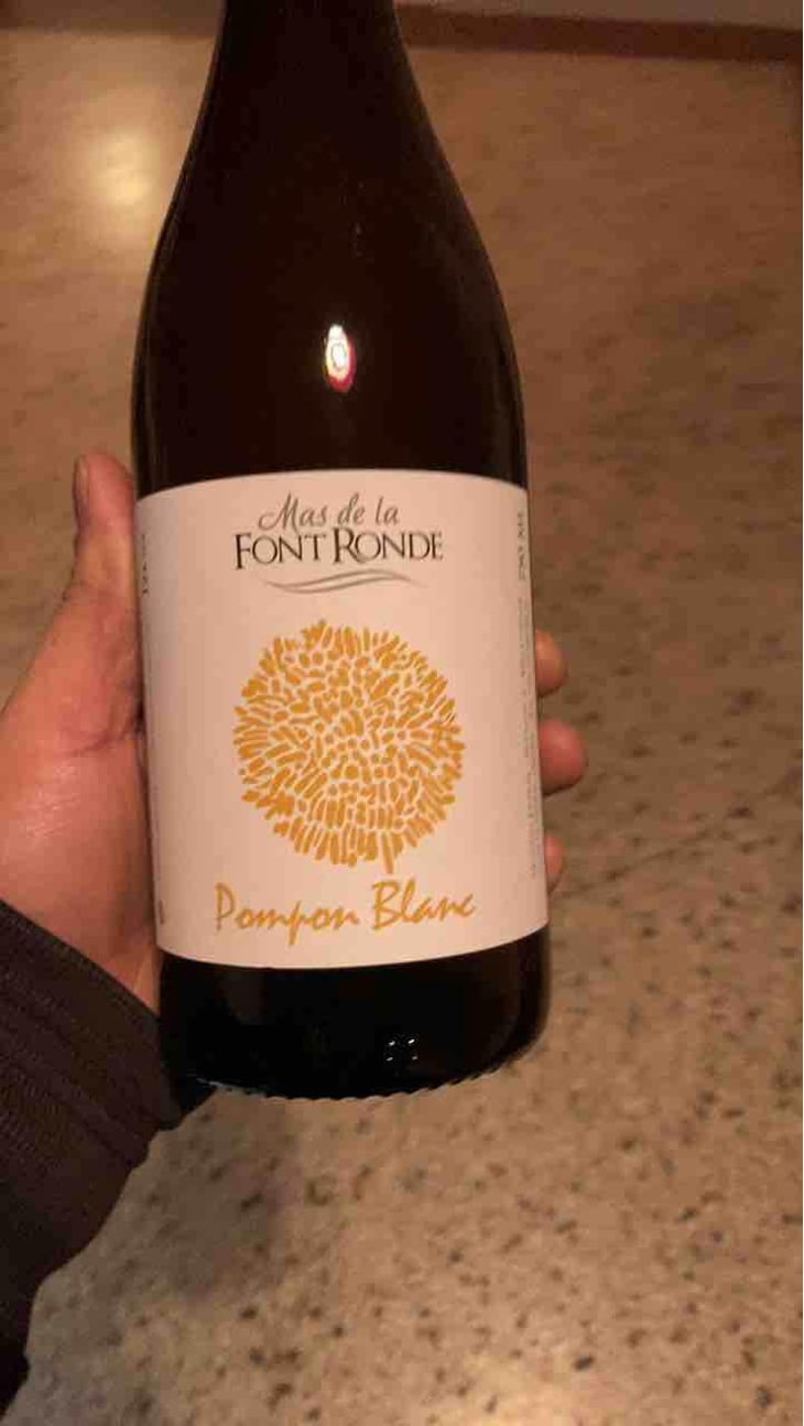 Pompon Blanc - Mas de la Font Ronde - Vincent Moulin 