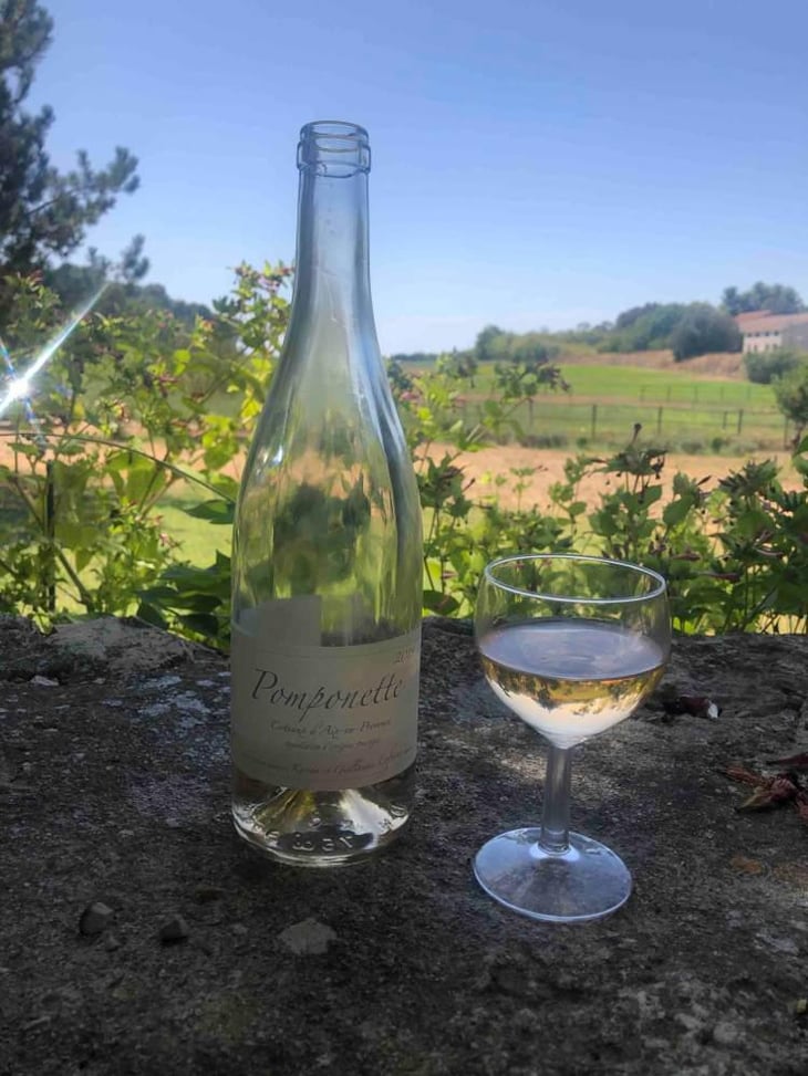 Pomponette - Domaine de Sulauze - Karina & Guillaume Lefèvre 