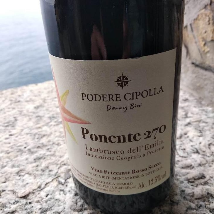 Ponente 270 - Podere Cipolla - Denny Bini 